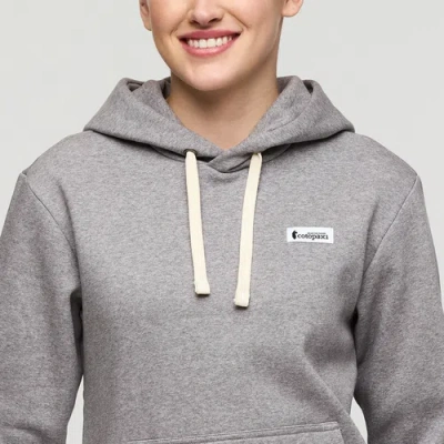 Cotopaxi Llama Patch Pullover Hoodie In Gray