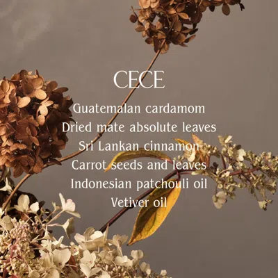 Homecourt Steeped Rose Candle