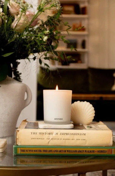 Apotheke Cedarwood Ginger Classic Scented Candle In White