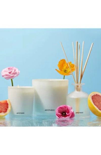 Apotheke Cedarwood Ginger Classic Scented Candle In White