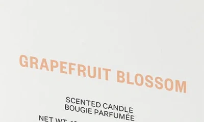 Apotheke Cedarwood Ginger Classic Scented Candle In White