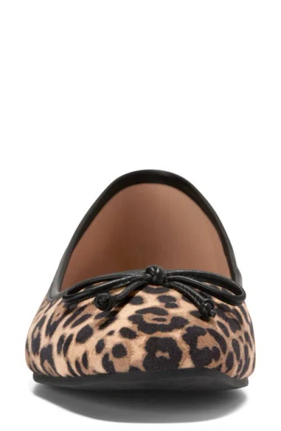 Cole Haan Women's Yara Soft Ballet Flats In Brown