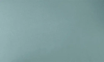 Coyuchi 300 Thread Count Organic Cotton Percale Pillowcases In Green