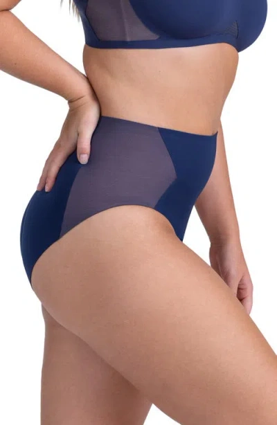 Honeylove Crossover Briefs In Blue