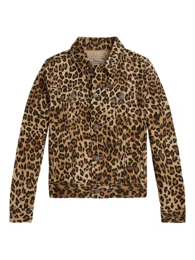 Polo Ralph Lauren Ralph Lauren Leopard-print Denim Trucker Jacket In Brown
