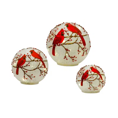Melrose International Led Frosted Cardinal Orb With Berry Branch Design (set Of 3) - White, Red