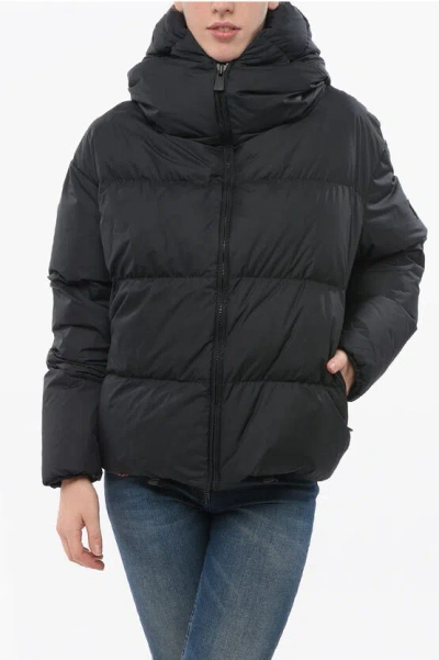 Bacon Hooded Cloud Down Jacket With Front Zip In Black