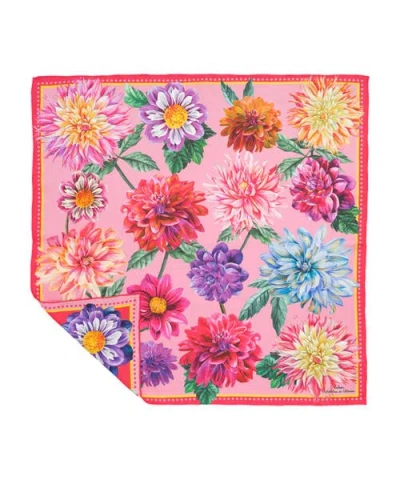 Echo Dahlias In Bloom In Multi