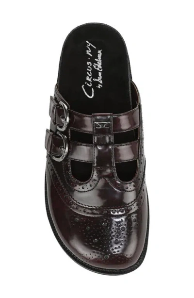 Circus Ny By Sam Edelman Women's Claudia Mary-jane Loafer Clogs In Brown