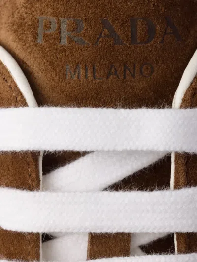 Prada Cocoa-coloured Sneakers In Suede Leather In Brown