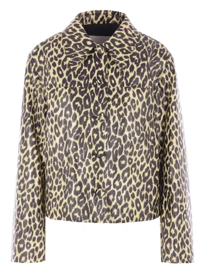 Jil Sander Leopard Print Coated Linen Crop Jacket In Black