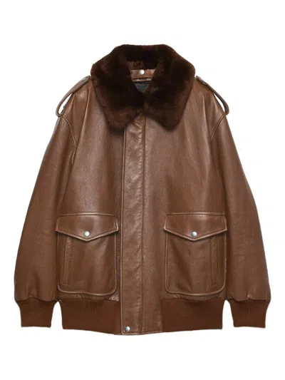 Prada Shearling-collar Leather Jacket In Brown