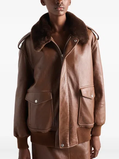 Prada Shearling-collar Leather Jacket In Brown