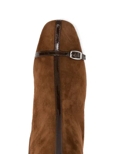 Carel Paris Brown Suede Ankle Boots With Decorative Buckled Straps In Brown