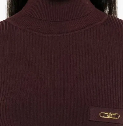 Elisabetta Franchi Turtleneck Sweater With Pocket In Brown