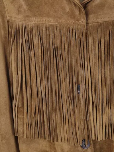 Golden Goose Paul Smith Loves Barbour Multicolor Stripe Cotton Jacket In Brown