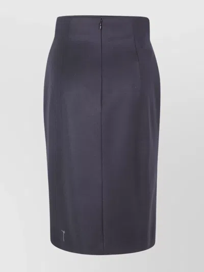 Alberta Ferretti Alberta Ferreti Skirt In Blue