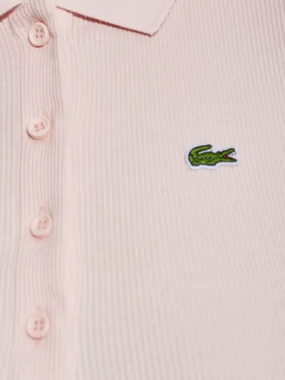 Lacoste Polo Shirt In Pink