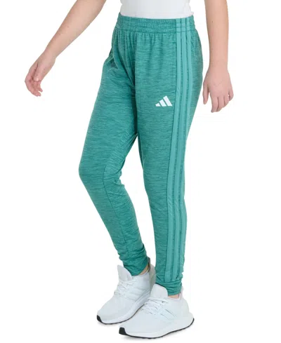 Adidas Originals Big Kid Girls Drawstring Waist Cuffed Mid Rise Slim Fit Jogger Pant In Green