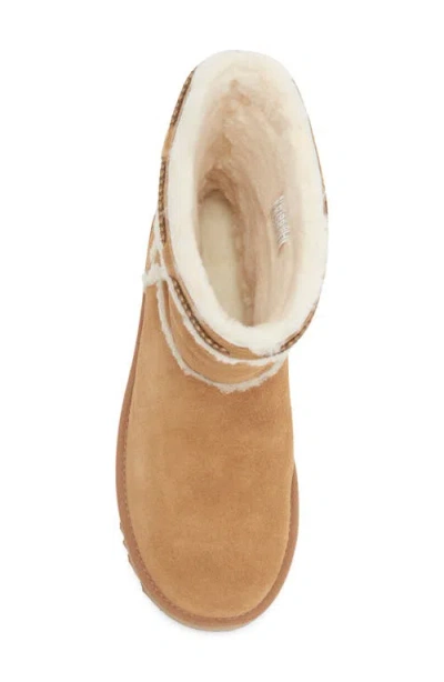 Ugg ® Classic Short Shearling Braid Trim Boot In Brown
