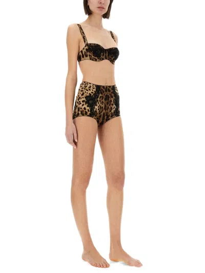 Dolce & Gabbana Balconette Bra In Animal Print