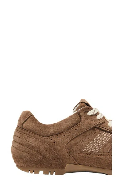 Alohas Tb.56 Low-top Suede Sneakers In Brown