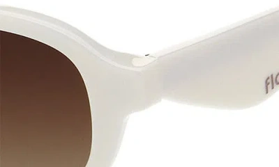 Florence By Mills 49mm Rectangular Sunglasses In Brown