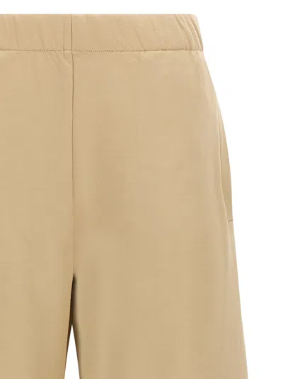 Max Mara Filovia Pants In Brown