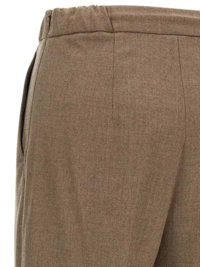 Max Mara Waistband Pleated Front Side Pockets Trousers In Brown