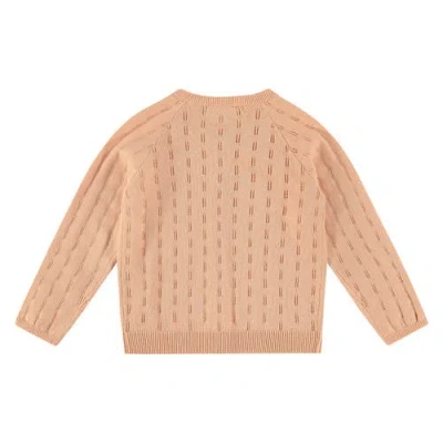 Stains And Stories By Babyface Pointelle Cardigan In Brown