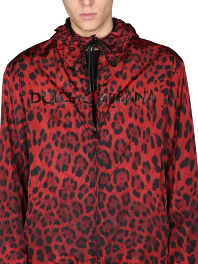Dolce & Gabbana Men's Leopard Wind-resistant Hooded Jacket In Multi