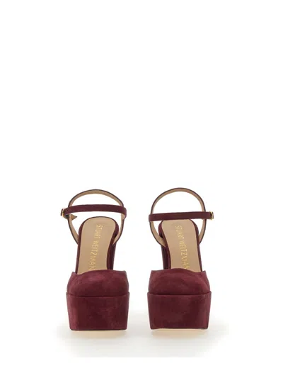 Stuart Weitzman Pump In Suede In Multi