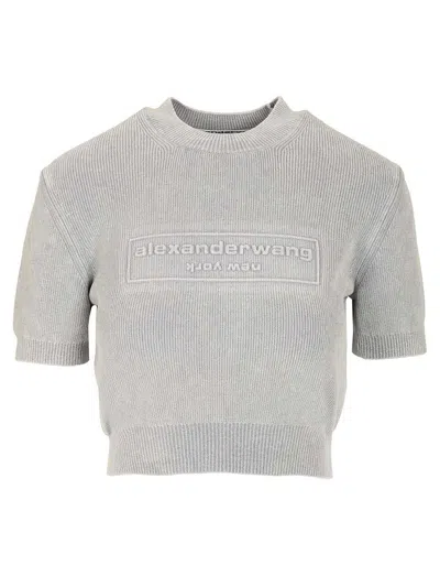 Alexander Wang Short T-shirt Sweatshirts Grey In Gray