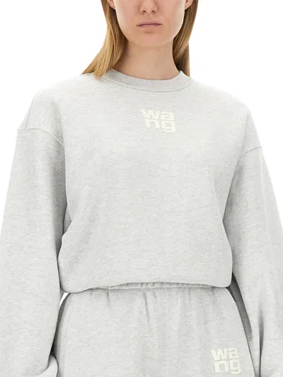 Alexander Wang Foundation Sweatshirt In Gray