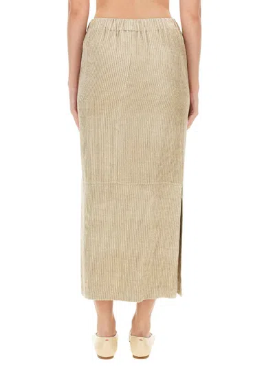 Alysi Velvet Skirt In Nude