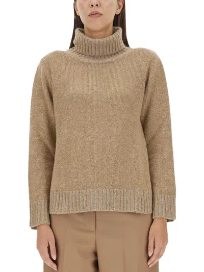Fabiana Filippi High-neck Wool Jersey Sweater In Brown