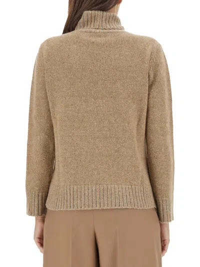 Fabiana Filippi High-neck Wool Jersey Sweater In Brown