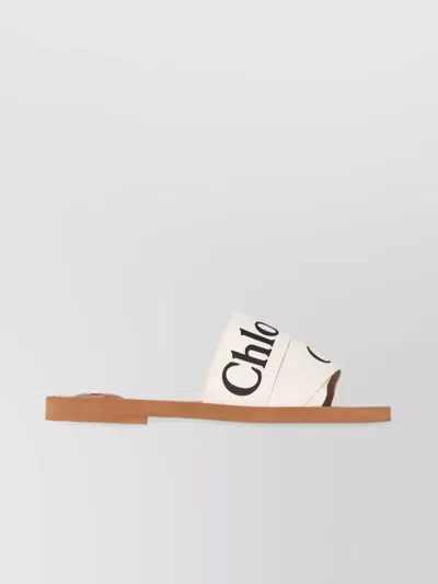Chloé Woody Sabot Mules In Multi