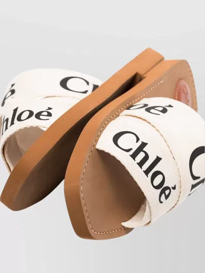 Chloé Woody Sabot Mules In Multi