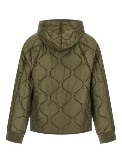 C.p. Company C.p.company Padded Jacket With Adjustable Hood In Green