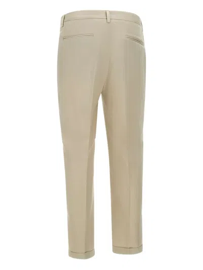 Devore Pleated-front Trousers In Neutral