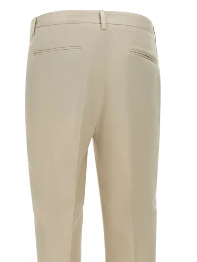 Devore Pleated-front Trousers In Neutral