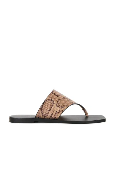 A.emery Paton Snake-effect Leather Sandals In Animal Print