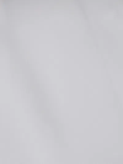 Max Mara Silk Shirt With Tie Neck And Long Sleeves In White