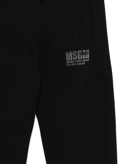Msgm Logo-print Casual Trousers In Black