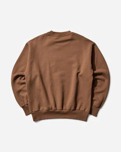No Problemo Nyp Crewneck Sweatshirt In Brown