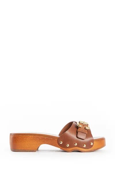 Chloé Jeannette Leather Buckle Clog Sandals In Brown