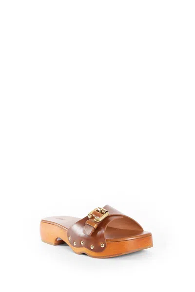 Chloé Jeannette Leather Buckle Clog Sandals In Brown