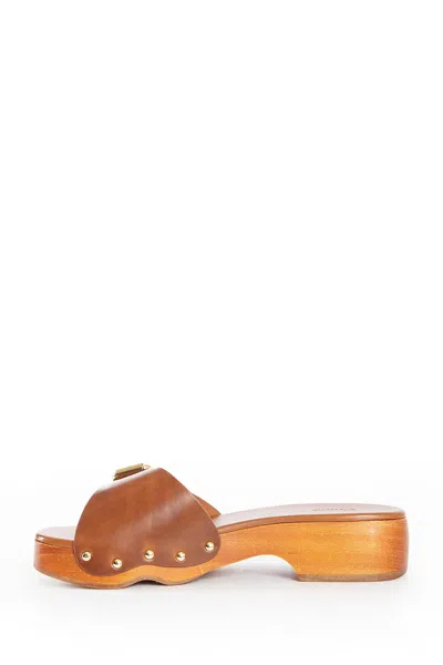 Chloé Jeannette Leather Buckle Clog Sandals In Brown
