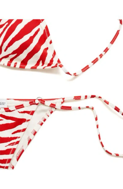 Mango Zebra Bikini Bottoms In Multi